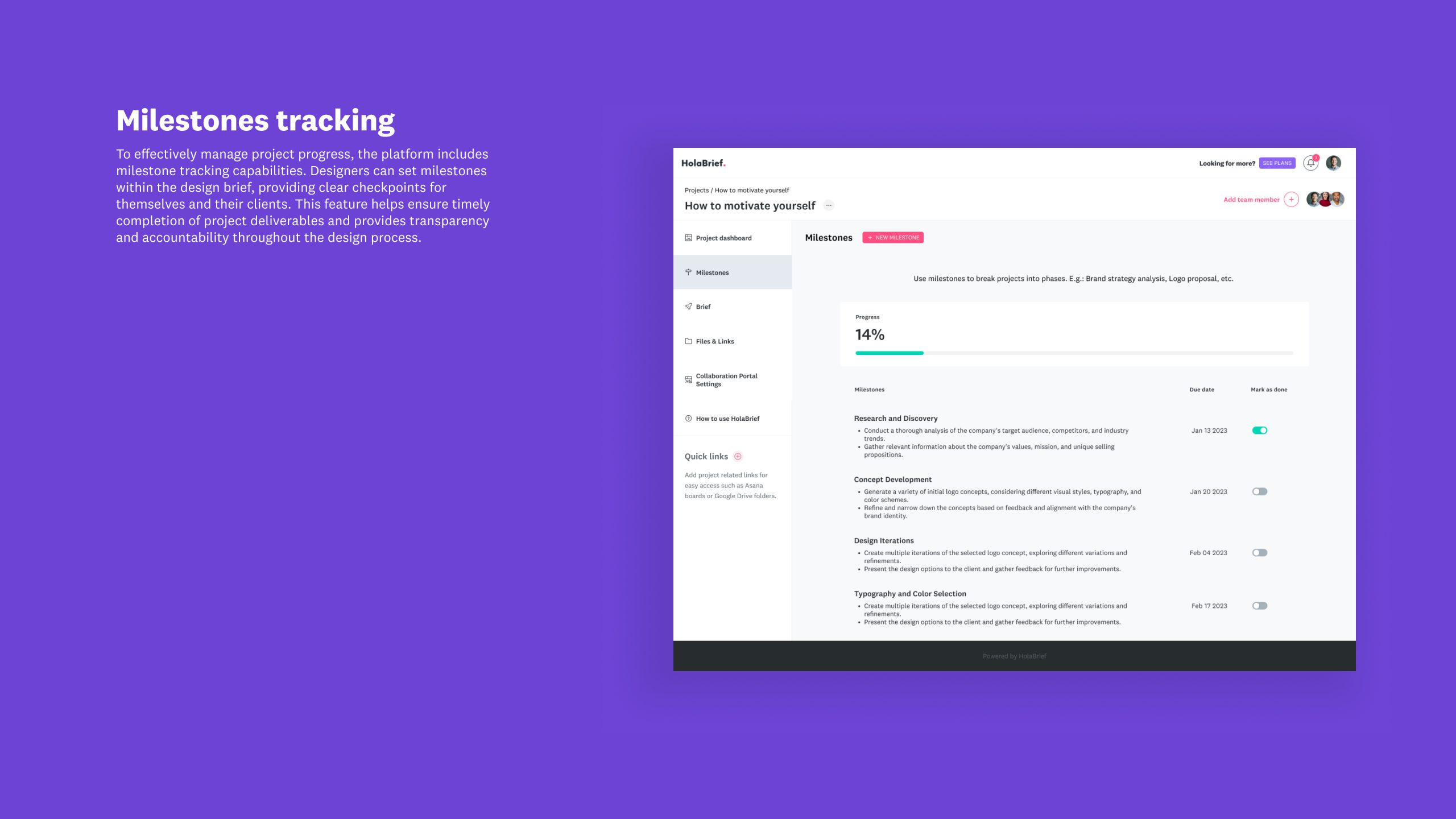 Video Milestones tracking — HolaBrief