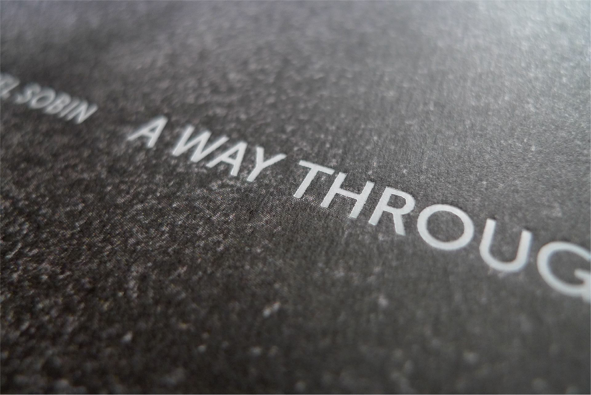 Gabriel Sobin A way through (imagen 22 de 23)