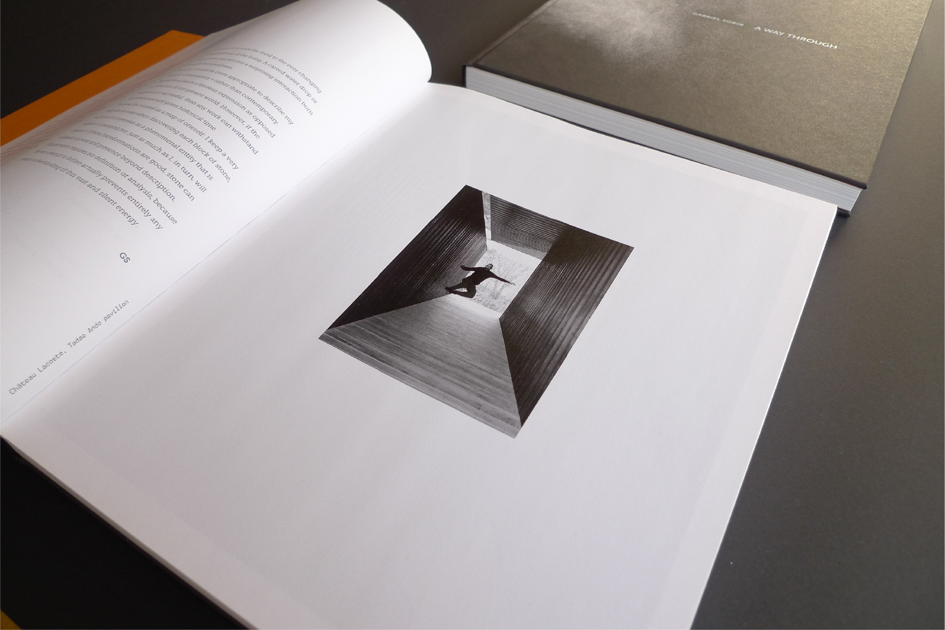 Gabriel Sobin A way through (imagen 5 de 23)